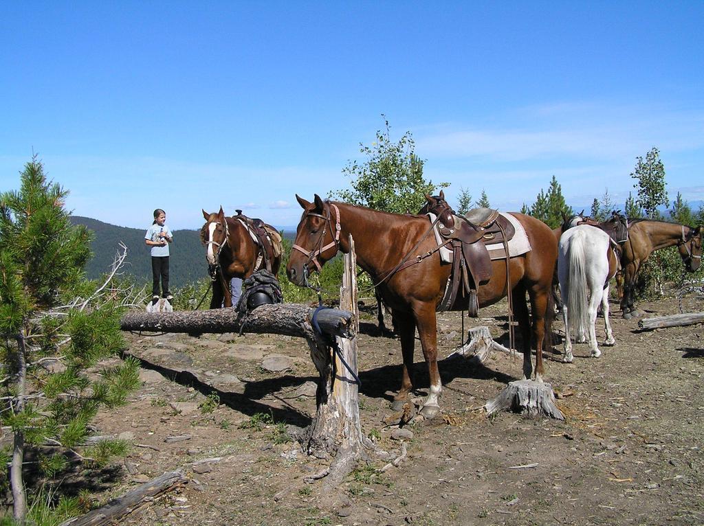 Lac La Hache Ten-Ee-Ah Lodge & Campground מראה חיצוני תמונה